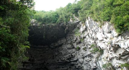 Sótano de las Golondrinas, el lugar donde las aves emergen del abismo