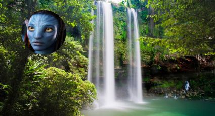 ¿Avatar se grabará en las cascadas de Misol - Há en Chiapas?  Esto es lo que sabemos