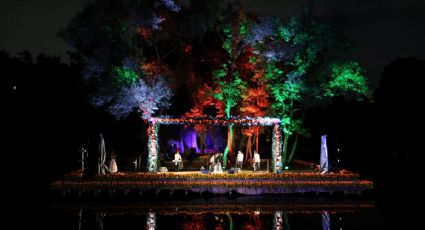 Día de Muertos en CDMX: Chapultepec se llenará de música y altares con ‘Iluminando Almas’