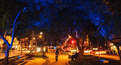 Colonia Americana de Guadalajara, entre los barrios más cool del mundo