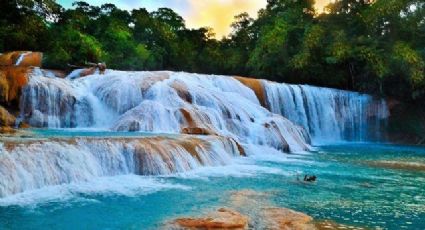 Cascadas más bonitas de México para conectar con la naturaleza