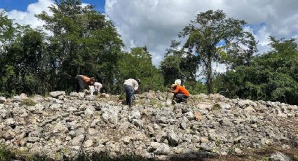 ¡Paraíso prehispánico! Hallan nuevas estructuras mayas en Yucatán