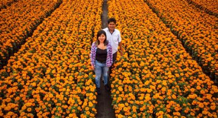 ¡CDMX se pinta de naranja! Dónde comprar flores de cempasúchil para el altar de muertos