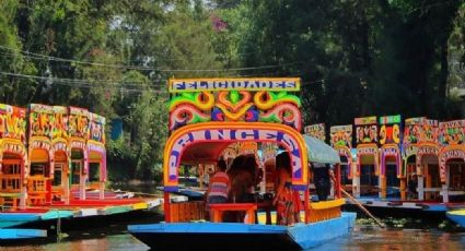 Cómo llegar a Xochimilco en auto o en transporte público y disfrutar de sus atractivos