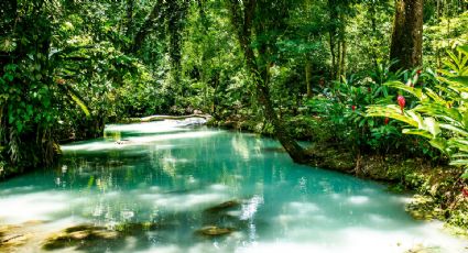 Tapijulapa, el hermoso Pueblo Mágico que esconde cascadas sulfurosas