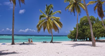 Experiencias imperdibles para conocer Playa del Carmen de forma diferente