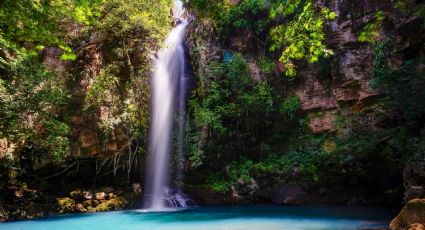 Lujo natural: la cascada de agua azul cerca de Palenque para disfrutar de la naturaleza