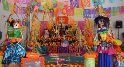 Día de Muertos en CDMX: el MAPA para disfrutar de todas las ofrendas del Centro Histórico