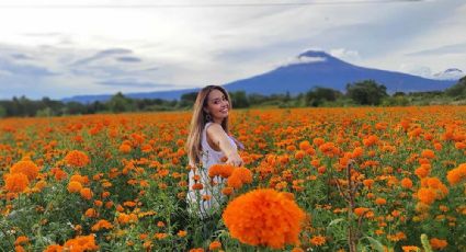 Reforma se llena de colores con el Festival de las Flores de Otoño: fechas y horario