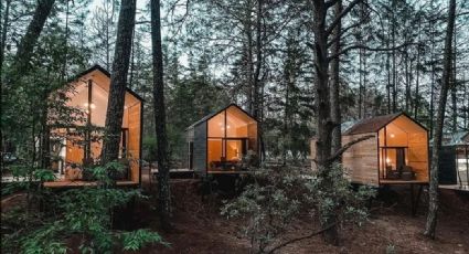 Las hermosas cabañas en Huasca de Ocampo para relajarte en medio del bosque