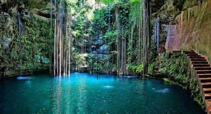 4 cenotes de Riviera Maya para escaparse en las vacaciones de invierno