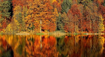 4 destinos para disfrutar de las mejores postales naturales del otoño