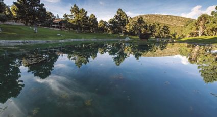 Día de los Pueblos Mágicos: 4 sitios rodeados de bosque perfectos para desconectarte