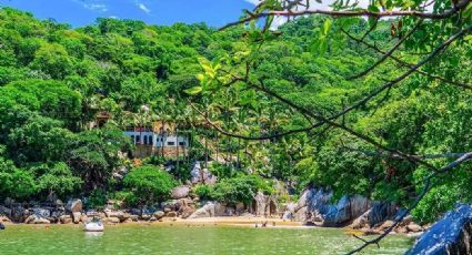 Isla Cuale, el paraíso multicolor de Puerto Vallarta para vivir la naturaleza y olvidarte del estrés