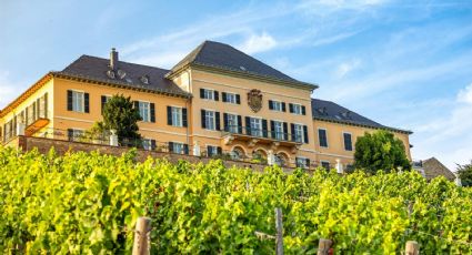 ¿Fan del vino? Esta es la bodega vitivinícola más antigua del mundo que debes conocer