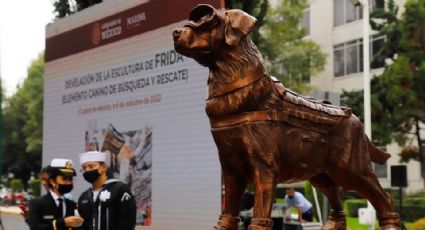 ¡Adiós a la heroína! Dónde ver la estatua de Frida, la perrita rescatista