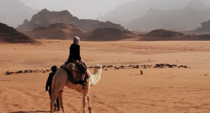 Carreras de Camellos, el exótico atractivo que podrás disfrutar en Qatar