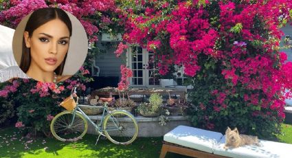 Eiza González: Conoce su lujosa mansión que no deja de presumir en Instagram