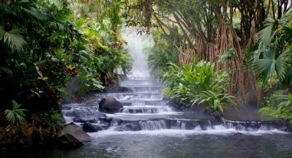 ¿Quién dijo frío? Aguas termales naturales de Morelos para disfrutar de un fin de semana relajado