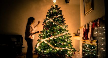 Dónde comprar árboles de Navidad naturales baratos en tu recorrido por CDMX