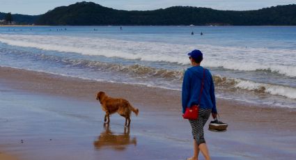 Pueblos Mágicos para viajar con tu mascota en un fin de semana