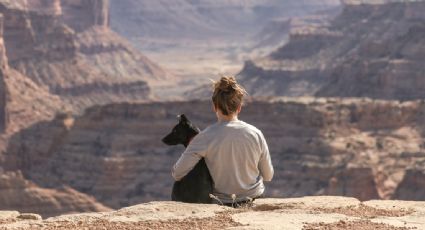 Qué es el Certificado Zoosanitario y cómo obtenerlo para viajar con tu mascota al extranjero