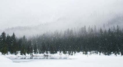 ¿Alpes suizos en México? El Pueblo Mágico nevado para conocer en Navidad