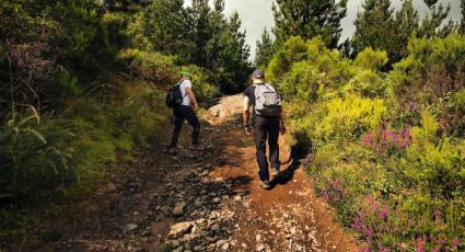 Cuál es el costo y las actividades que hacer en el Valle de Piedras Encimadas