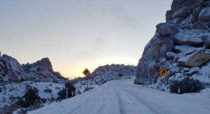 La Rumorosa, la carretera más hermosa (y peligrosa) se pinta de blanco con la primera nevada
