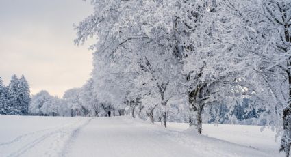 México se llena de nieve: las bellas postales que dejaron las primeras nevadas en el país