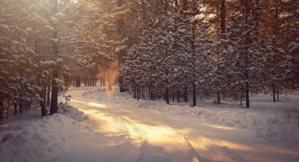 Cuándo inicia el solsticio de invierno 2022, la noche más larga de México