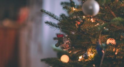 Así luce el primer árbol de Navidad maya que puedes conocer en Quintana Roo