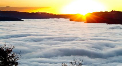 Disfruta del invierno caminando entre las nubes en el enigmático mirador de cristal de Oaxaca