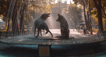 Coyoacán buscará ser Patrimonio de la Humanidad: ¿qué necesita para lograrlo?