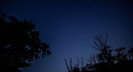 Cuándo y cómo ver la primera lluvia de meteoritos cuadrántidas del 2023