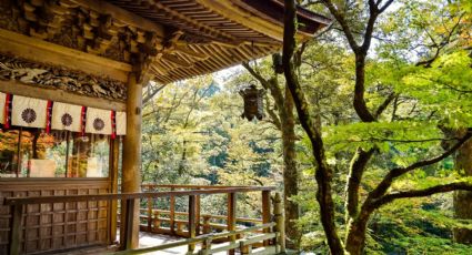3 de los hoteles más bellos para viajar a Japón sin tener que salir de México