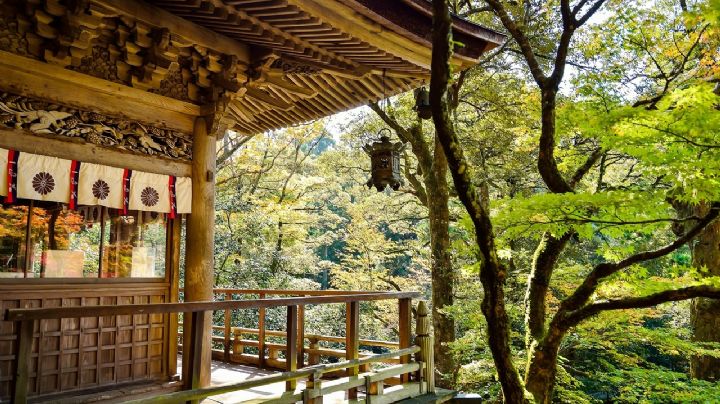 3 de los hoteles más bellos para viajar a Japón sin tener que salir de México