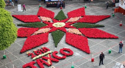 Taxco, el Pueblo Mágico que vio nacer la flor de nochebuena