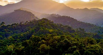 Cinco experiencias que puedes hacer en la ruta del café, en Chiapas