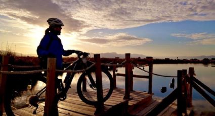 Tres experiencias para amantes de la naturaleza en el Pueblo Mágico de Cuatro Ciénegas