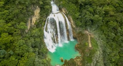 Las cascadas más altas y espectaculares que se pueden visitar en México