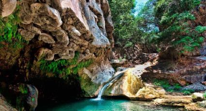 Pozas Azules, el paraíso escondido a tan solo media hora de Taxco