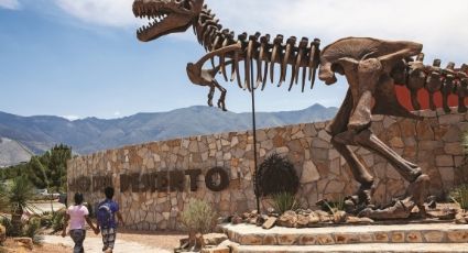 Museo del Desierto: Descubre la vida prehistórica de México en Coahuila, tierra de dinosaurios