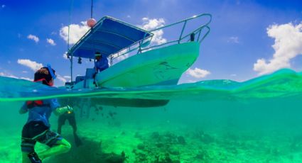 Cosas que puedes hacer en Cancún si en tus vacaciones encuentras sargazo