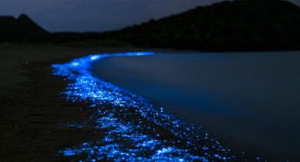 Playas bioluminiscentes en México: cuándo y cómo visitarlas para disfrutar de un viaje único