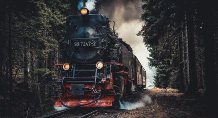 Viaje en Tren: Los paisajes más bellos del mundo que puedes disfrutar
