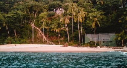 Playa Caballo, las aguas turquesa poco conocidas de Puerto Vallarta