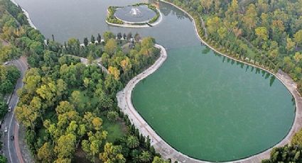 Bosque de Chapultepec: Actividades GRATUITAS que puedes disfrutar en familia