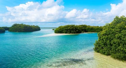 Sian Ka'an, el paraíso natural de Quintana Roo que deberías visitar al menos una vez en la vida