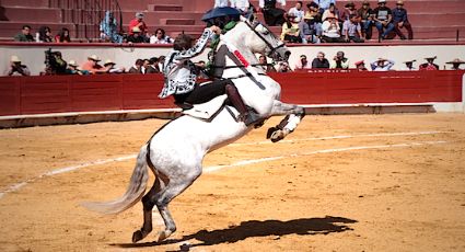 Feria Internacional del Caballo Texcoco 2022: Conoce las actividades de este gran evento